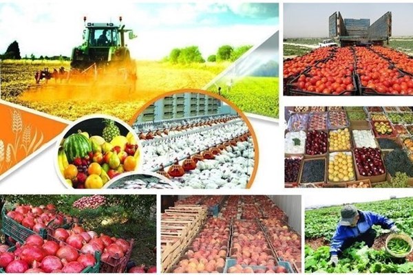 افزایش صادرات در حوزه کشاورزی نیازمند زیرساخت‌های حمل و نقل است