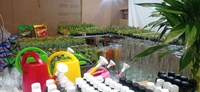 نمایشگاه گل و گیاه و گیاهان دارویی در قم+ تصاویر