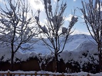 طبیعت برفی زیبای روستای خاوه+ تصاویر