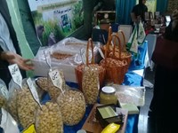 نمایشگاه کشاورزی دانش‌بنیان در قم برگزار شد 