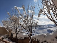 طبیعت برفی زیبای روستای خاوه+ تصاویر